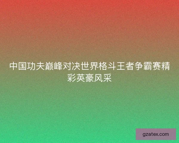 中国功夫巅峰对决世界格斗王者争霸赛精彩英豪风采