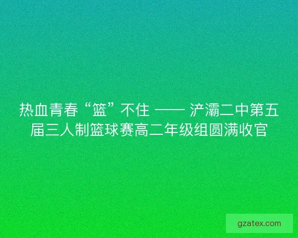 热血青春 “篮” 不住 —— 浐灞二中第五届三人制篮球赛高二年级组圆满收官