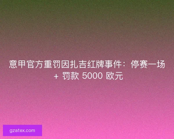 意甲官方重罚因扎吉红牌事件：停赛一场 + 罚款 5000 欧元